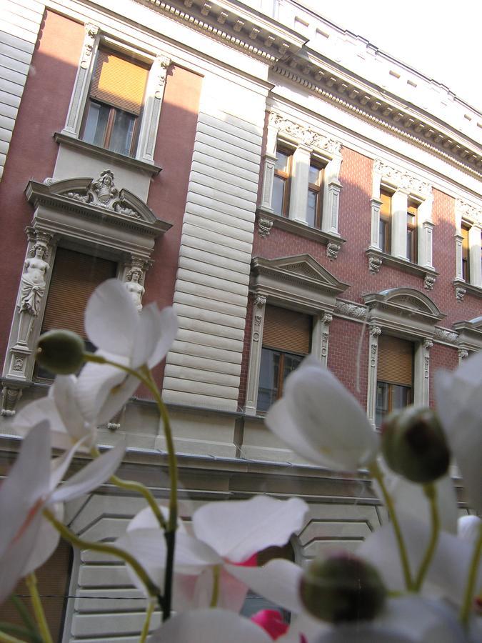 Apartment Danijela-City Centar Belgrade Exterior photo